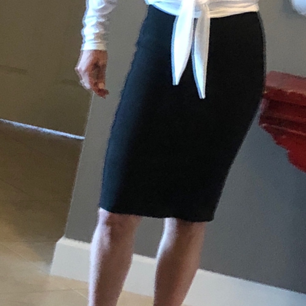 Fitted Pencil skirt